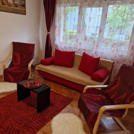 Petuniei Apartment Brasov Bagian luar foto