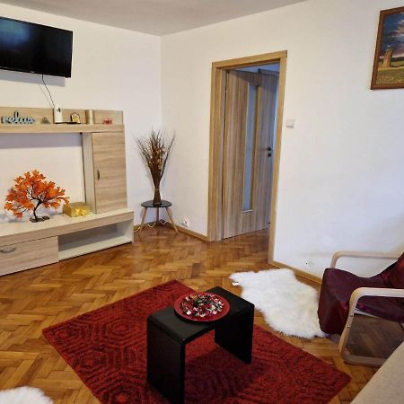 Petuniei Apartment Brasov Bagian luar foto