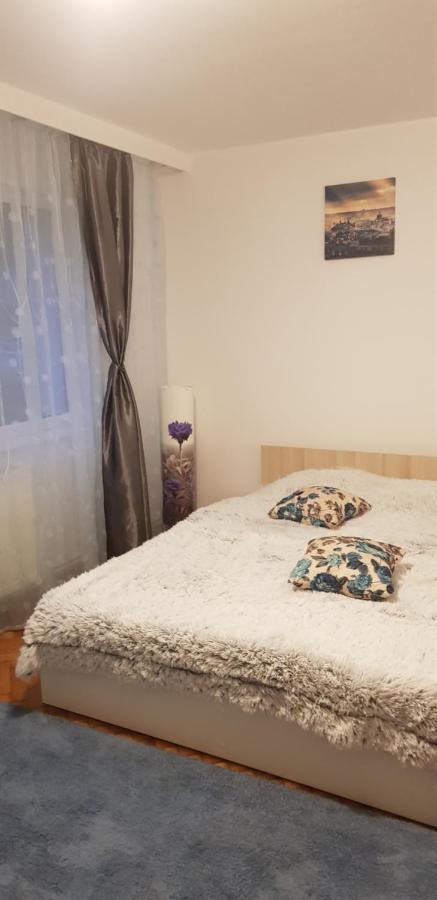 Petuniei Apartment Brasov Bagian luar foto