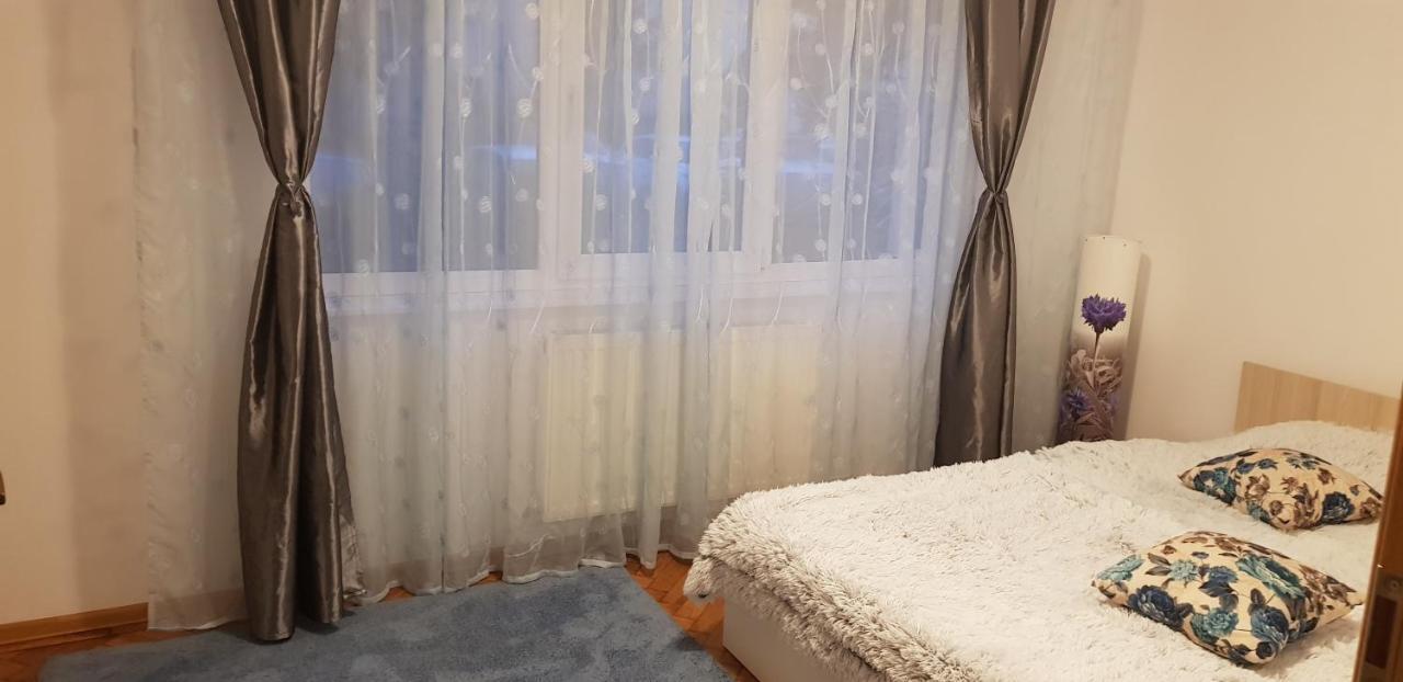 Petuniei Apartment Brasov Bagian luar foto