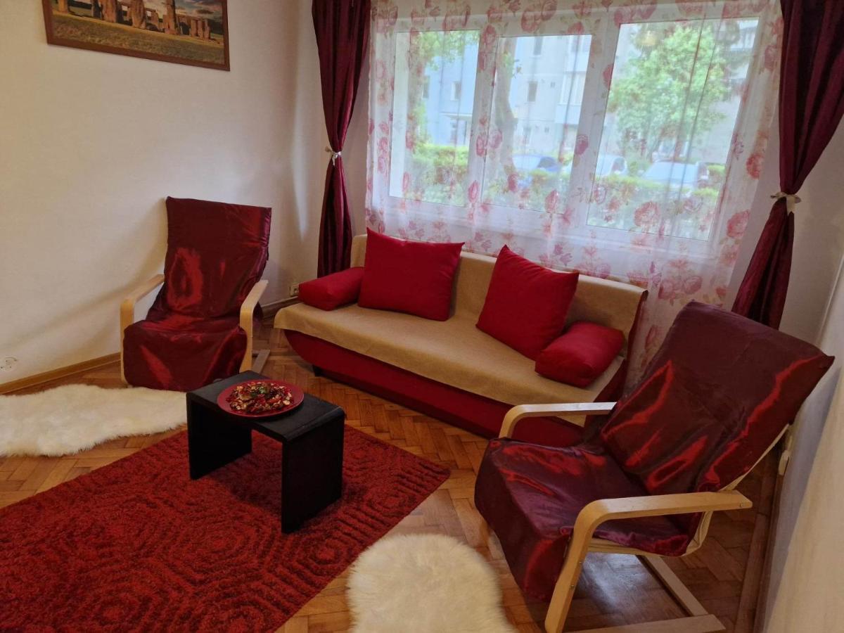 Petuniei Apartment Brasov Bagian luar foto