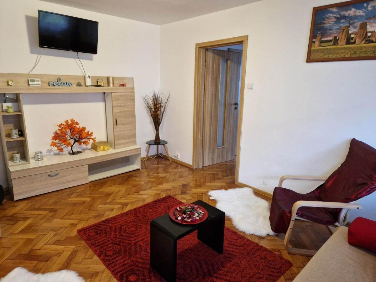 Petuniei Apartment Brasov Bagian luar foto