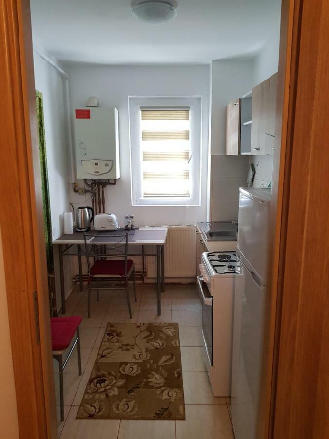Petuniei Apartment Brasov Bagian luar foto