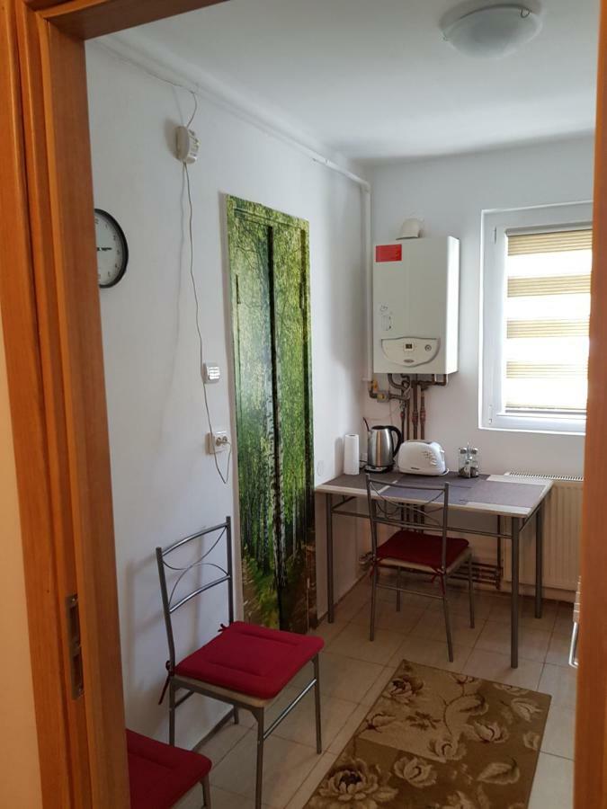 Petuniei Apartment Brasov Bagian luar foto