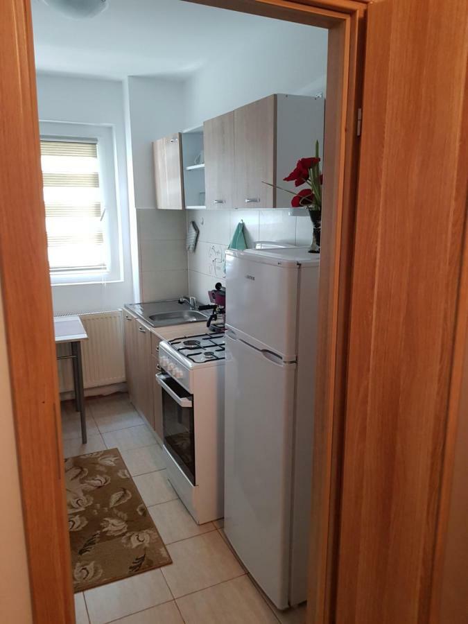 Petuniei Apartment Brasov Bagian luar foto