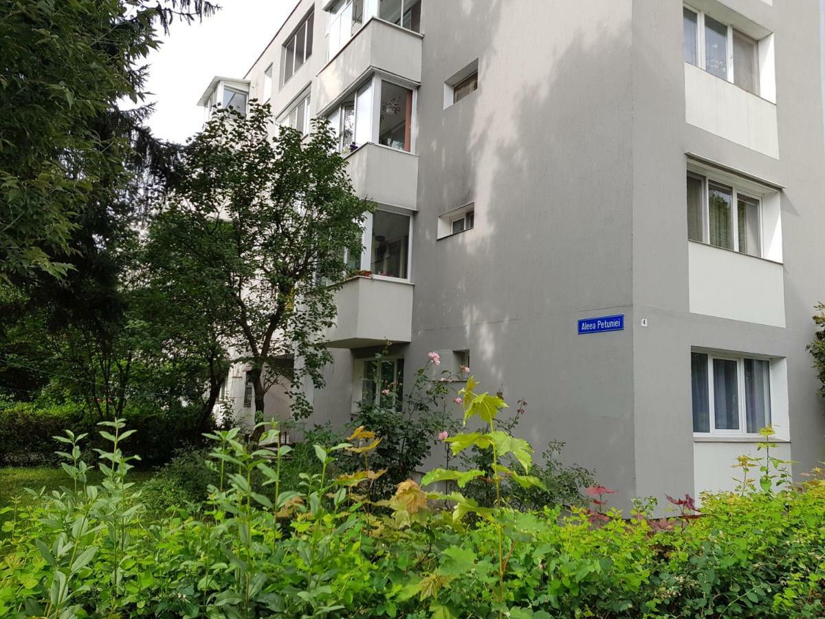 Petuniei Apartment Brasov Bagian luar foto